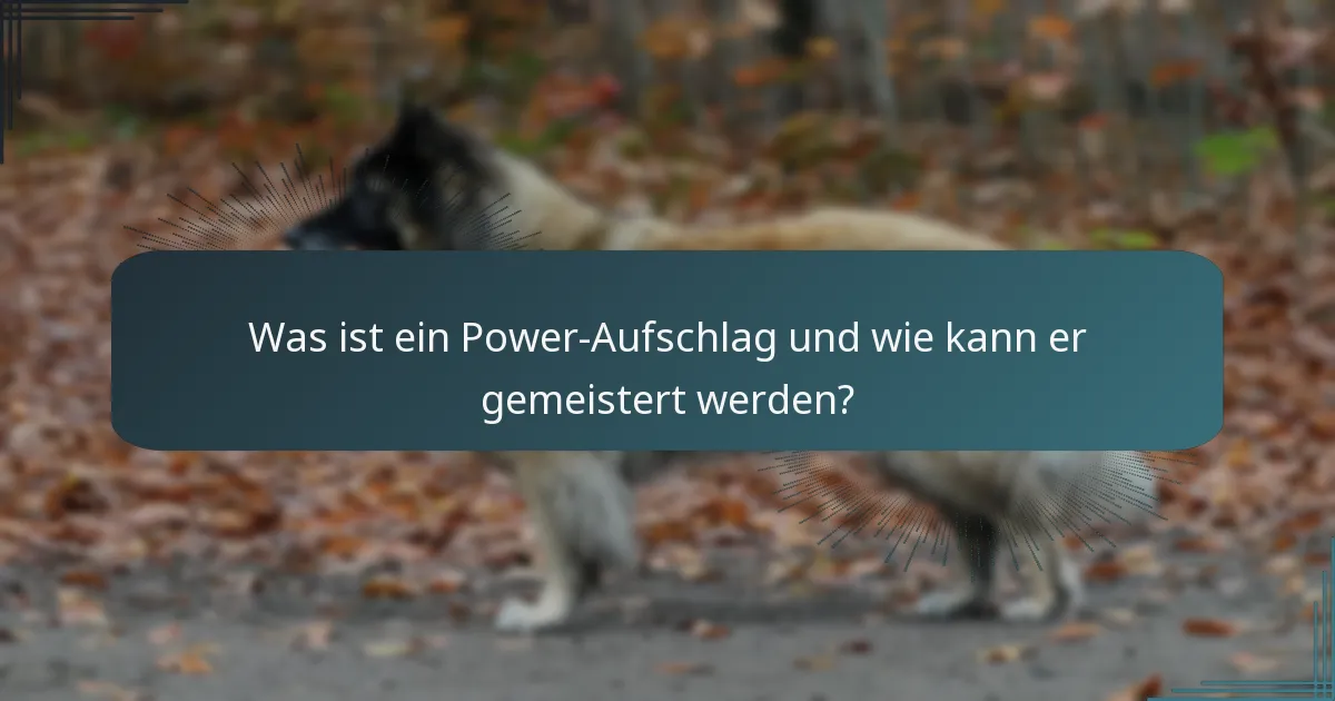 Was ist ein Power-Aufschlag und wie kann er gemeistert werden?