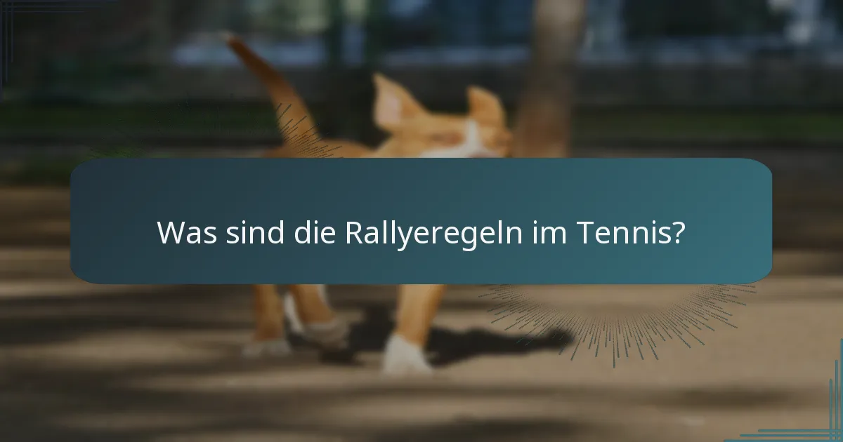 Was sind die Rallyeregeln im Tennis?