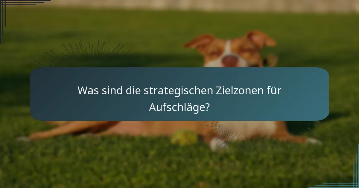Was sind die strategischen Zielzonen für Aufschläge?