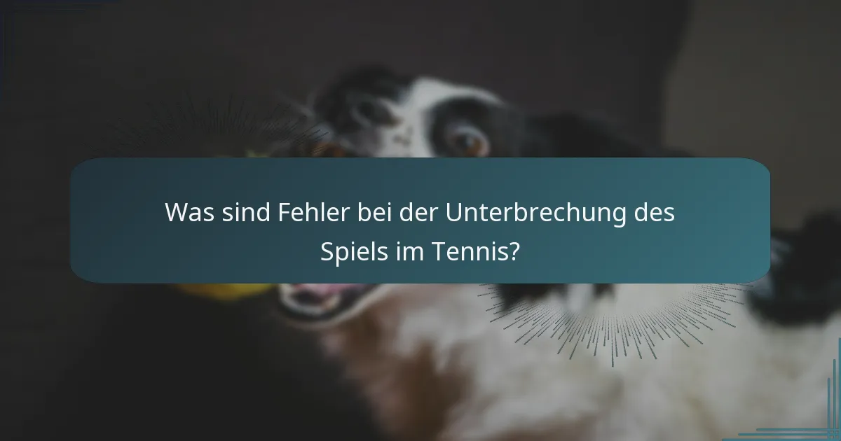 Was sind Fehler bei der Unterbrechung des Spiels im Tennis?