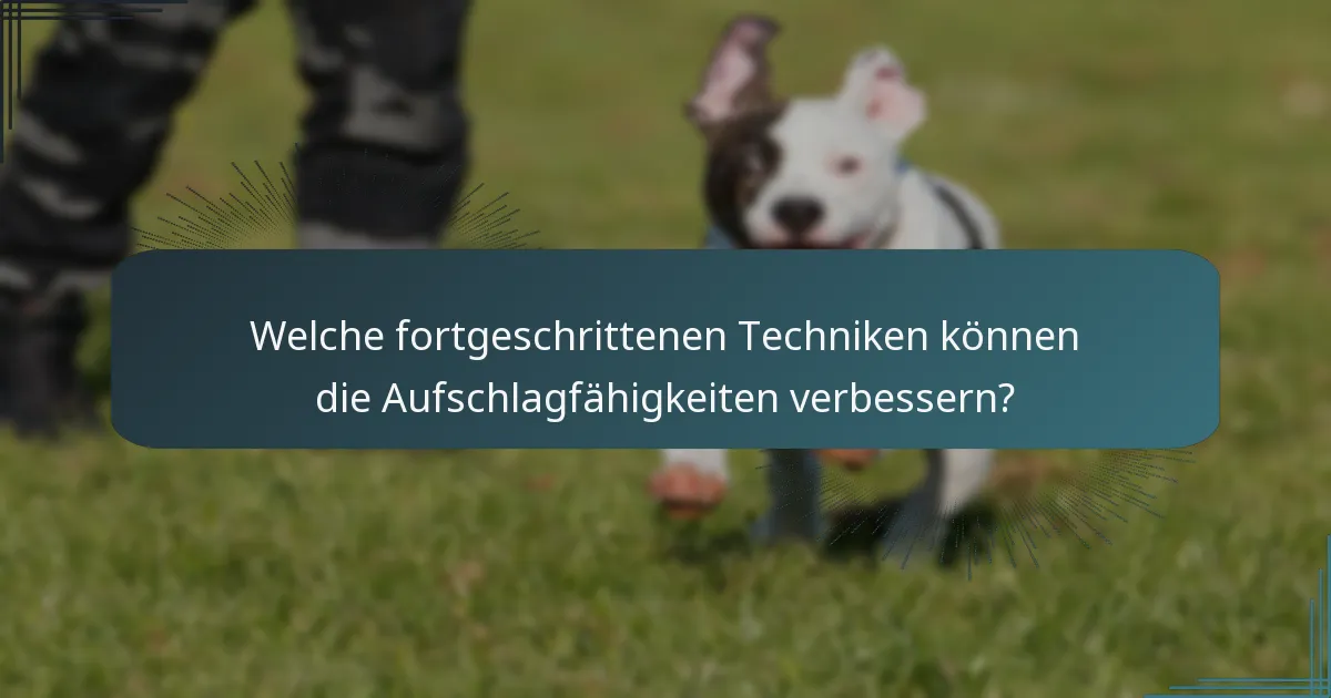 Welche fortgeschrittenen Techniken können die Aufschlagfähigkeiten verbessern?