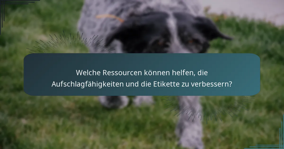 Welche Ressourcen können helfen, die Aufschlagfähigkeiten und die Etikette zu verbessern?
