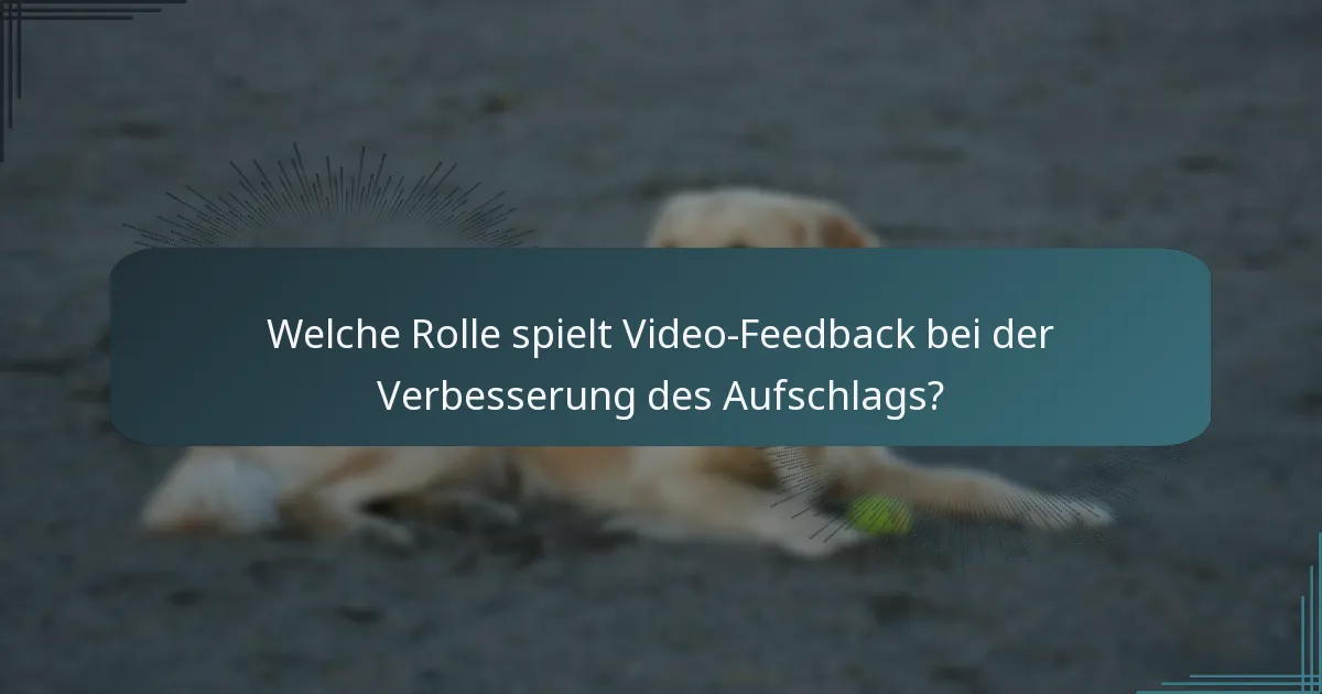 Welche Rolle spielt Video-Feedback bei der Verbesserung des Aufschlags?