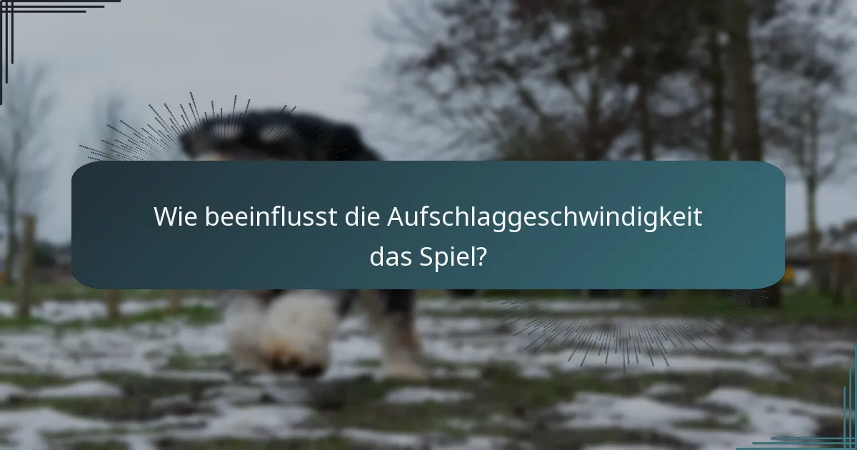 Wie beeinflusst die Aufschlaggeschwindigkeit das Spiel?