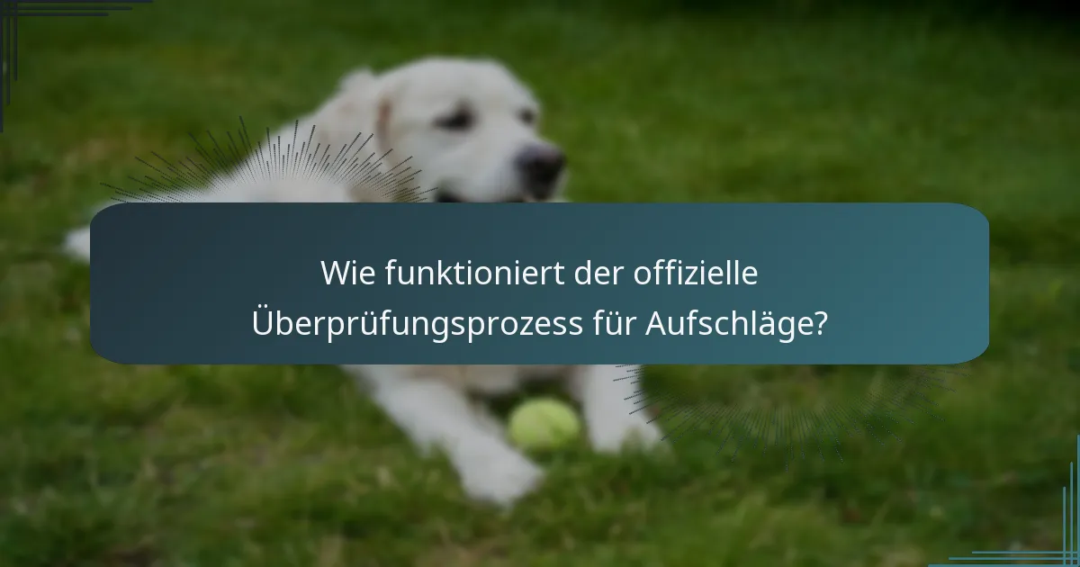 Wie funktioniert der offizielle Überprüfungsprozess für Aufschläge?