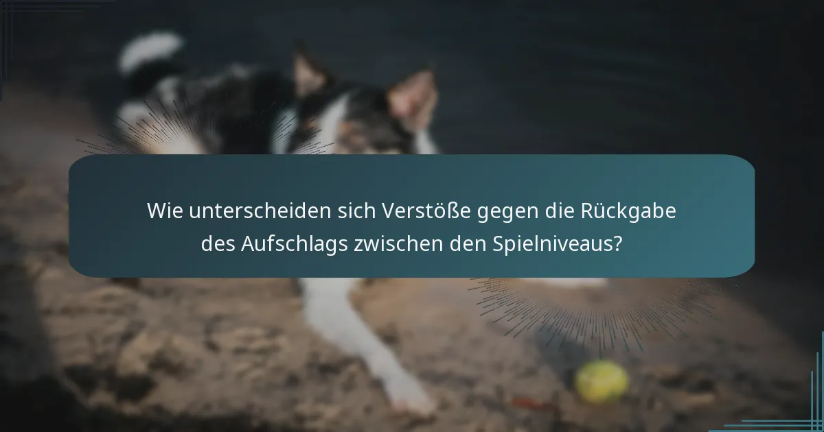 Wie unterscheiden sich Verstöße gegen die Rückgabe des Aufschlags zwischen den Spielniveaus?